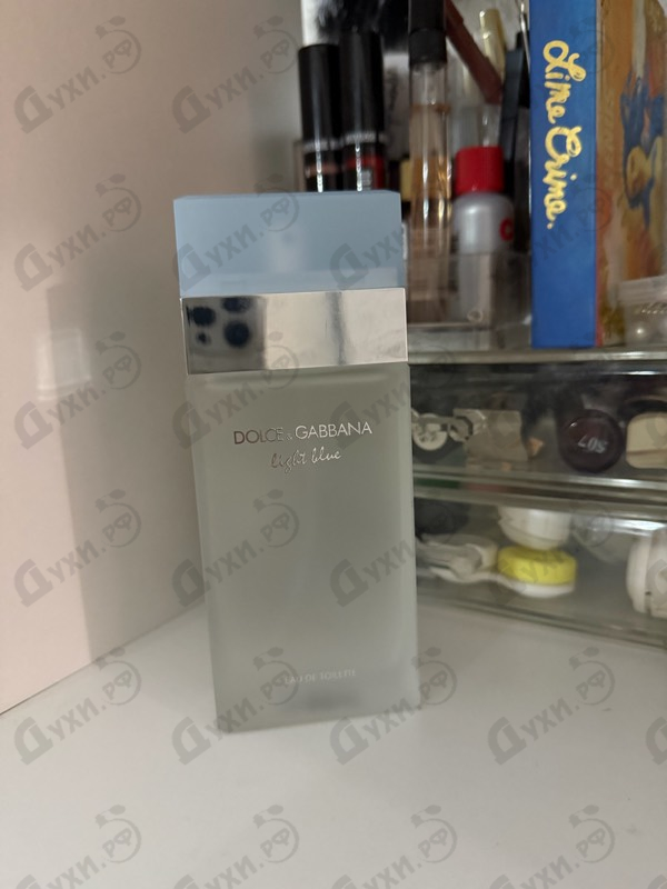 Купить Light Blue от Dolce & Gabbana