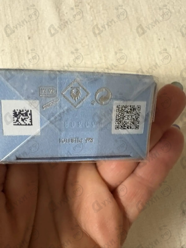 Купить Light Blue от Dolce & Gabbana