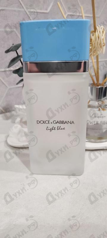 Отзыв Dolce & Gabbana Light Blue