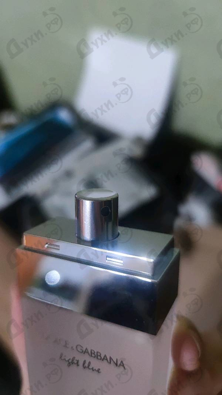 Купить Light Blue от Dolce & Gabbana