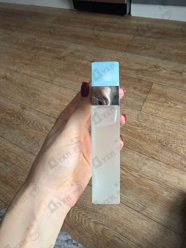 Купить Dolce & Gabbana Light Blue