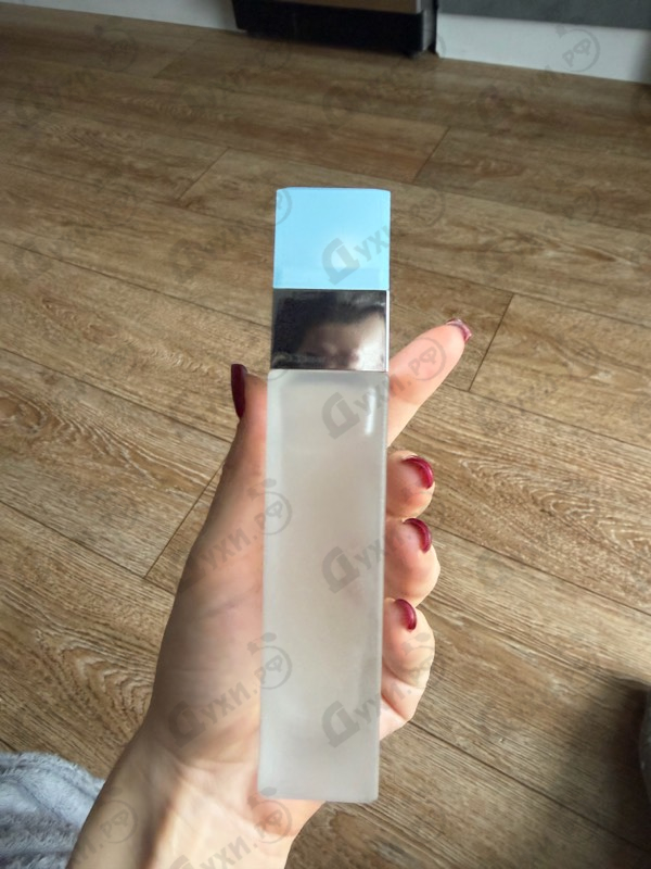 Купить Light Blue от Dolce & Gabbana