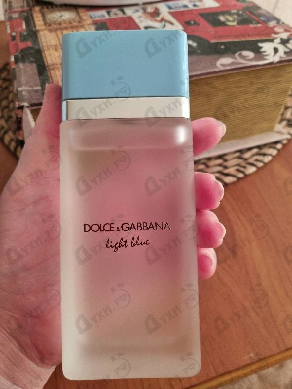 Купить Light Blue от Dolce & Gabbana