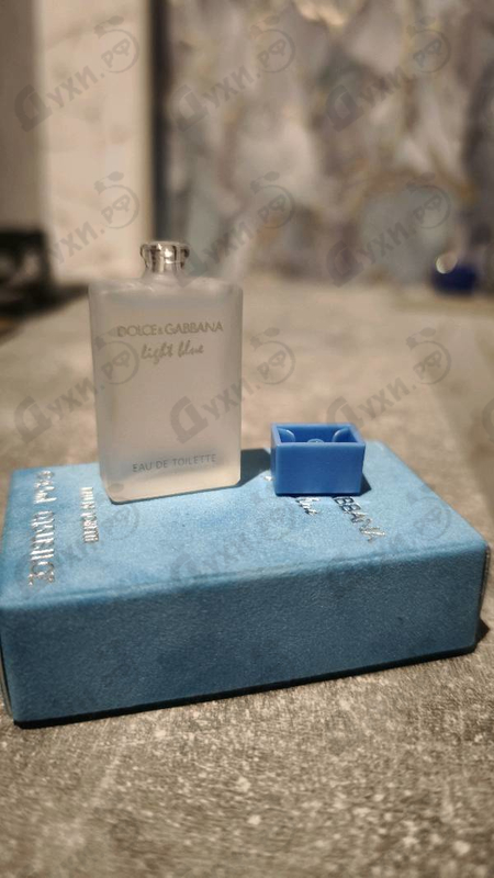 Парфюмерия Dolce & Gabbana Light Blue