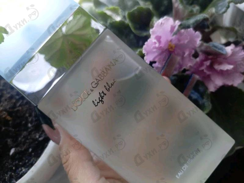 Духи Light Blue от Dolce & Gabbana