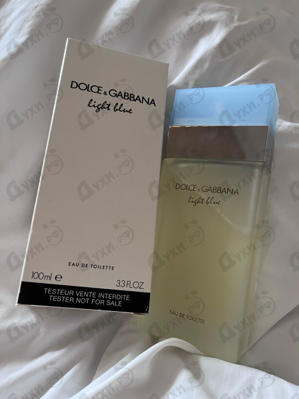 Купить Light Blue от Dolce & Gabbana