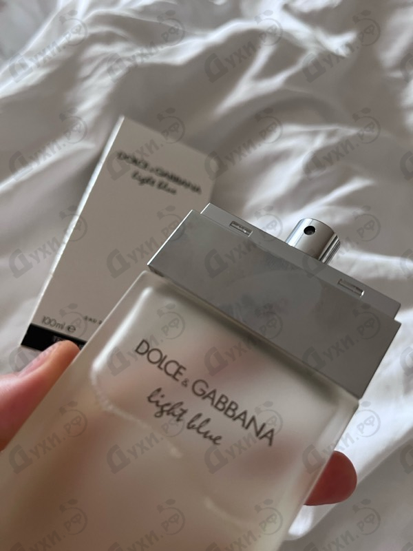 Купить Light Blue от Dolce & Gabbana