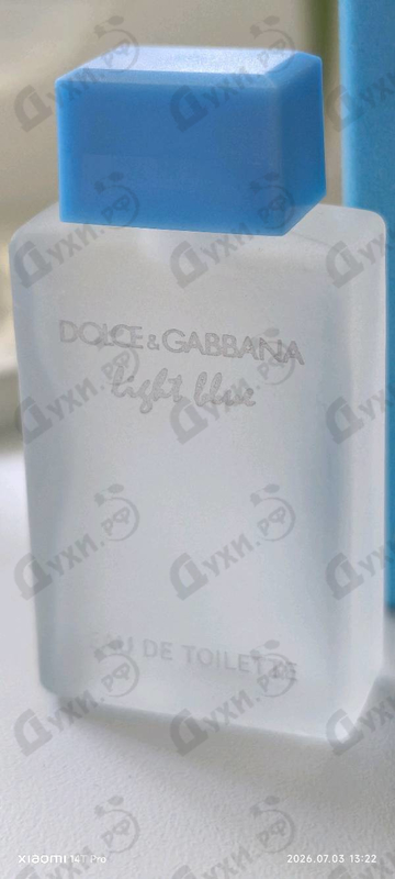 Купить Light Blue от Dolce & Gabbana