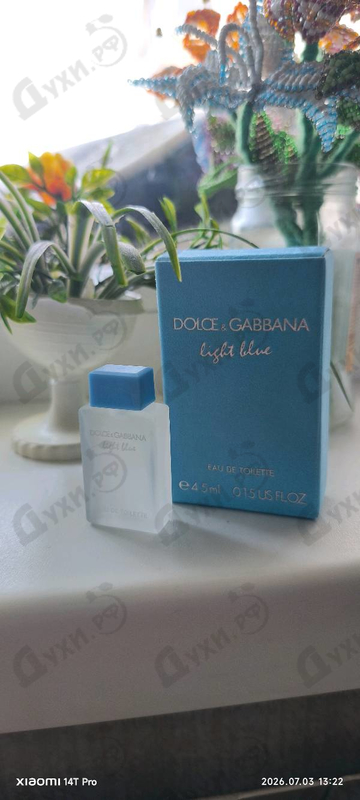 Отзыв Dolce & Gabbana Light Blue