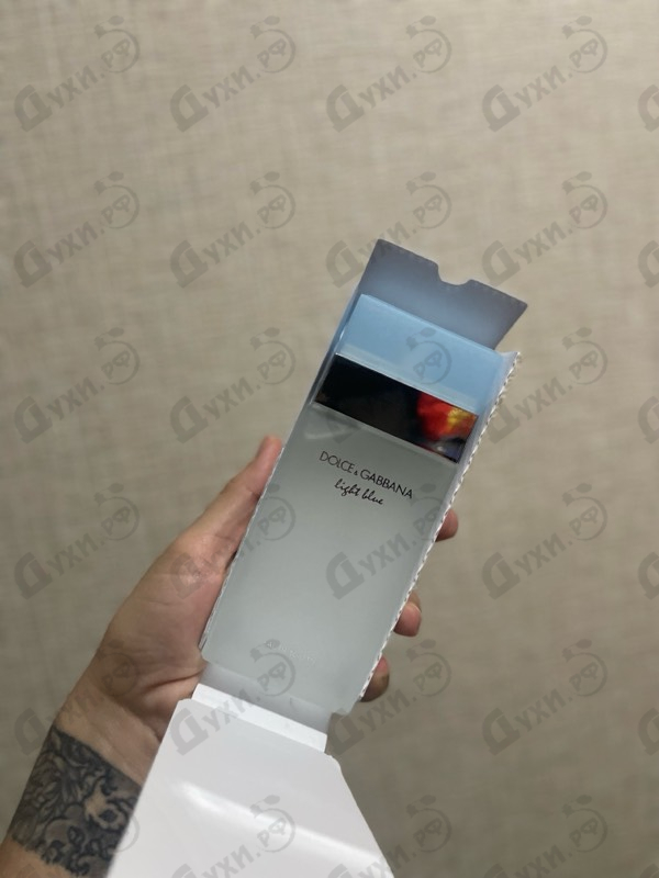 Купить Dolce & Gabbana Light Blue