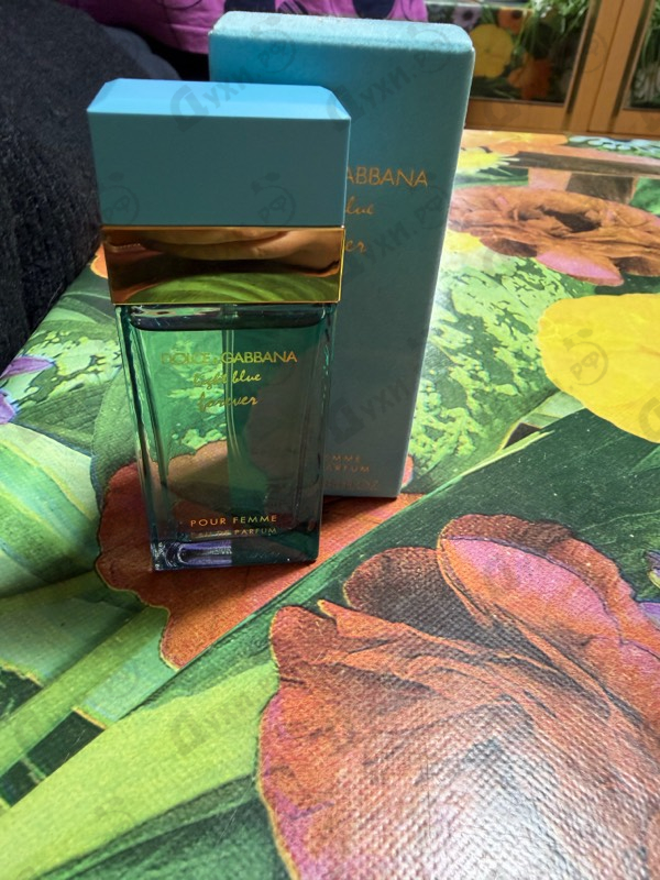 Купить Light Blue от Dolce & Gabbana