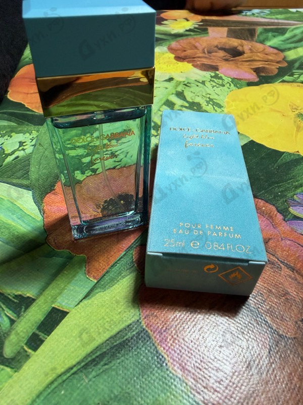 Купить Dolce & Gabbana Light Blue