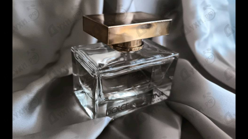 Отзывы Dolce & Gabbana Rose The One