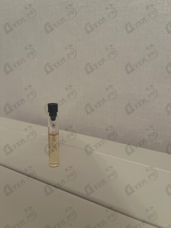 Купить Dolce & Gabbana Sicily