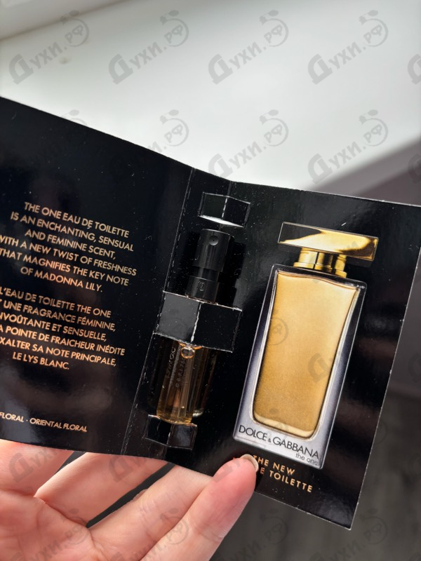 Купить The One от Dolce & Gabbana