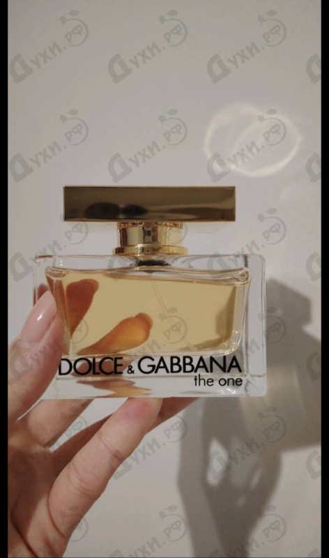 Купить The One от Dolce & Gabbana