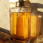 Отзывы Dolce & Gabbana The One