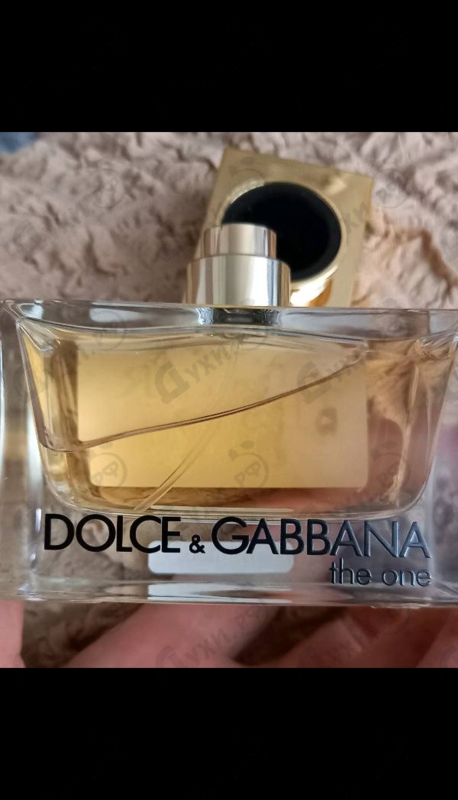 Купить The One от Dolce & Gabbana