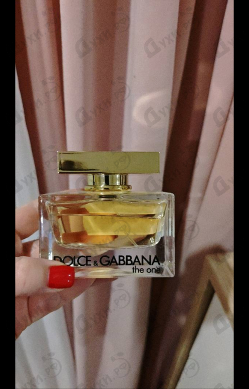 Купить Dolce & Gabbana The One