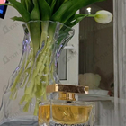 Отзывы Dolce & Gabbana The One