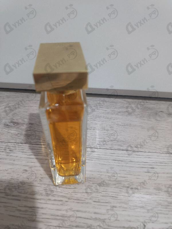 Купить Dolce & Gabbana The One