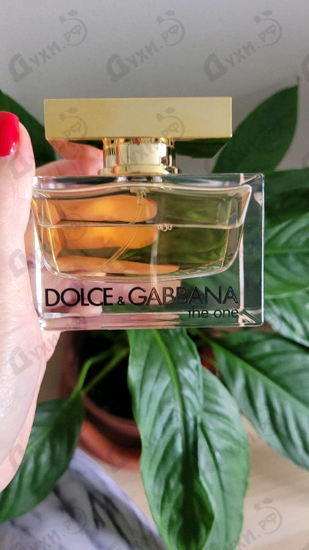 Купить Dolce & Gabbana The One