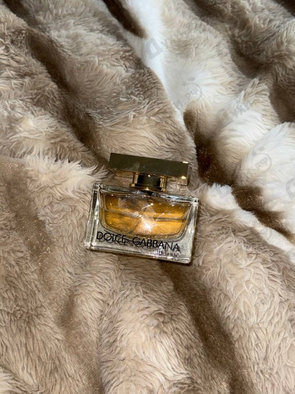 Купить The One от Dolce & Gabbana