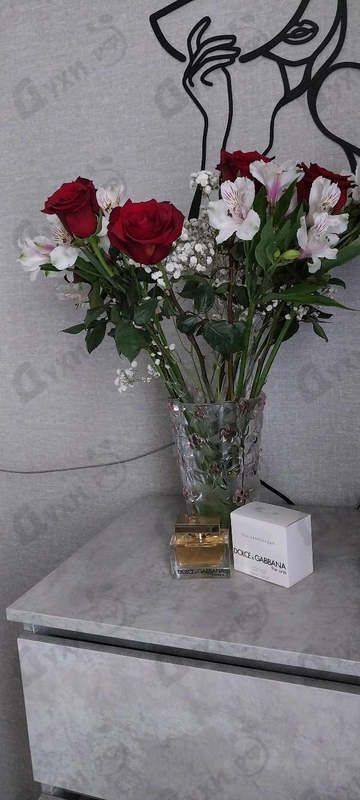 Купить Dolce & Gabbana The One