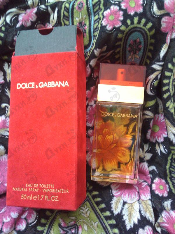 Отзывы Dolce & Gabbana Women