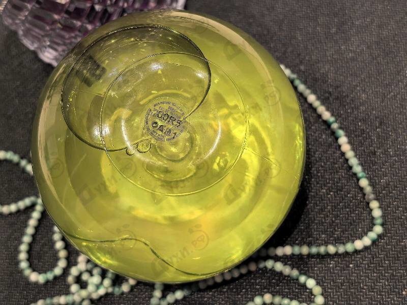 Духи Dkny Be Delicious от Donna Karan