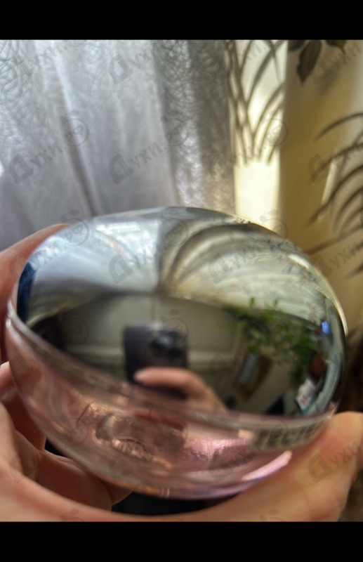 Духи Dkny Be Delicious Fresh Blossom от Donna Karan