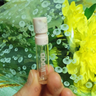 Духи She Wood от Dsquared2