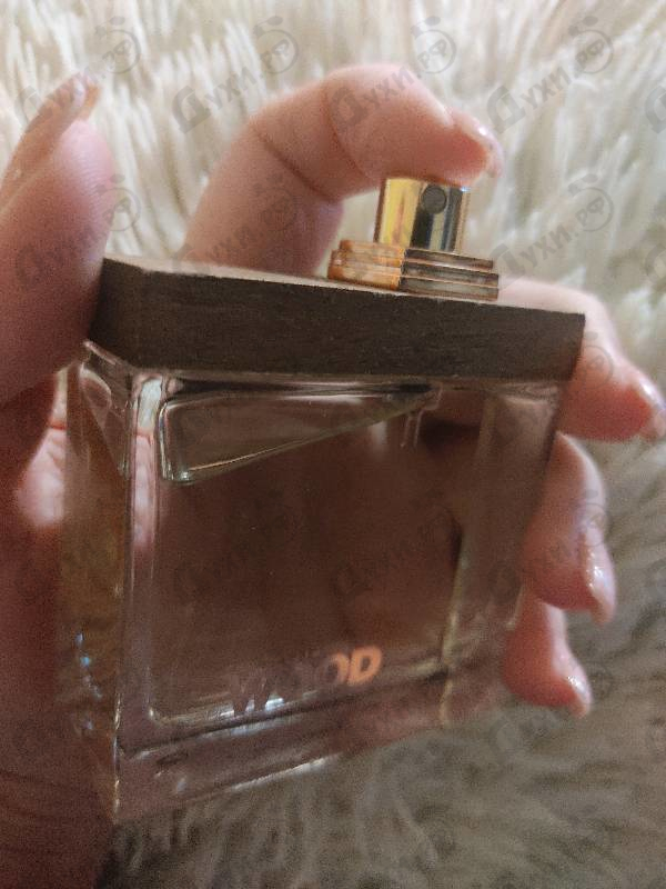 Купить She Wood от Dsquared2