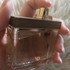 Купить She Wood от Dsquared2