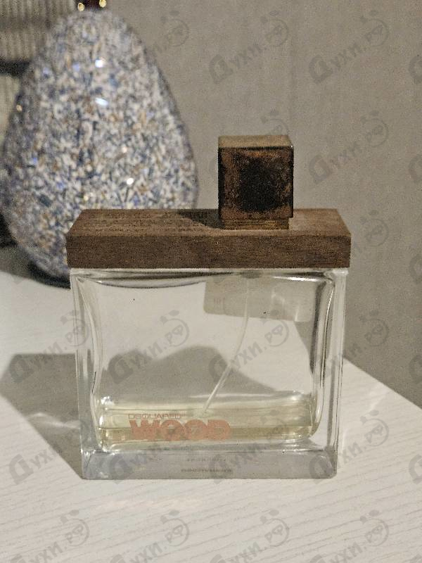 Купить She Wood от Dsquared2