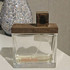Купить She Wood от Dsquared2