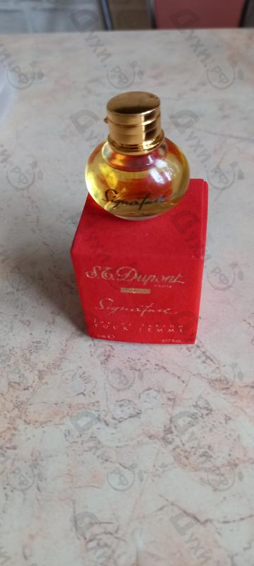 Парфюмерия Dupont Signature Купить Signature от Dupont