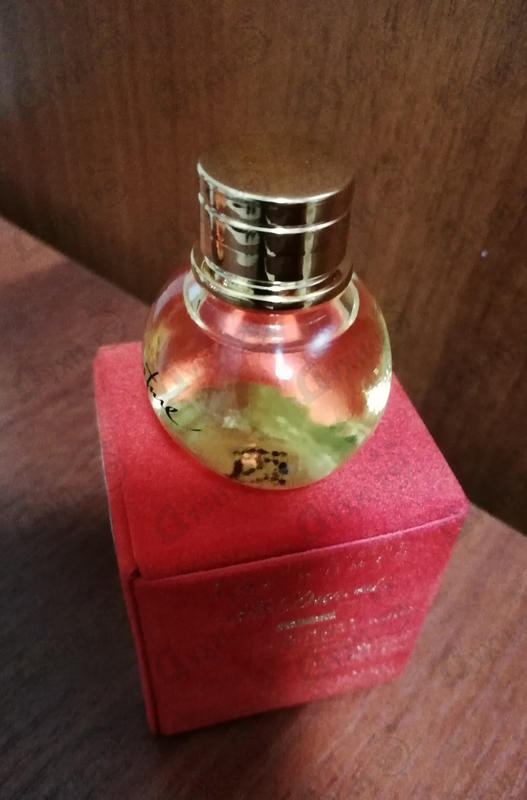 Парфюмерия Signature от Dupont Отзывы Dupont Signature