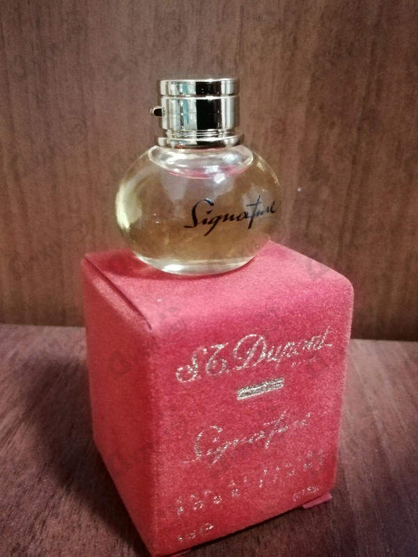 Духи Signature от Dupont Отзыв Dupont Signature