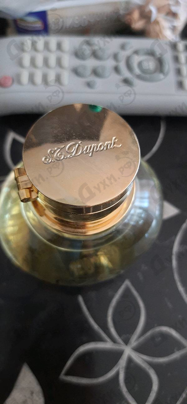Купить Dupont Signature