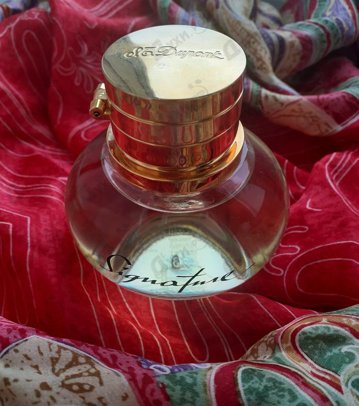 Духи Dupont Signature Парфюмерия Signature от Dupont