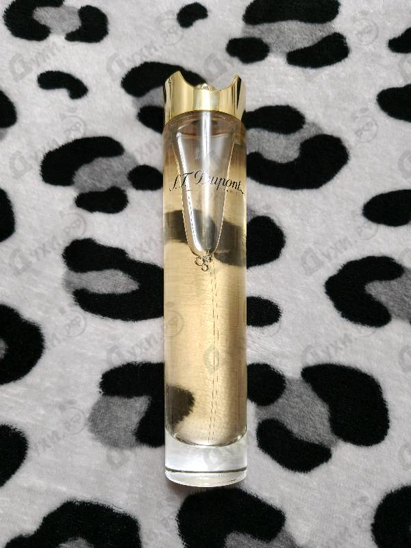 Купить Women от Dupont