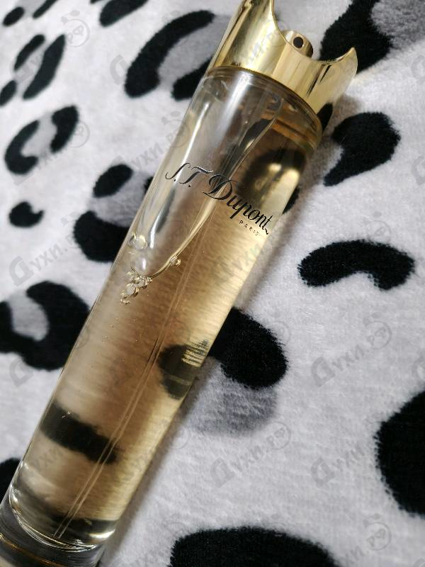 Купить Women от Dupont