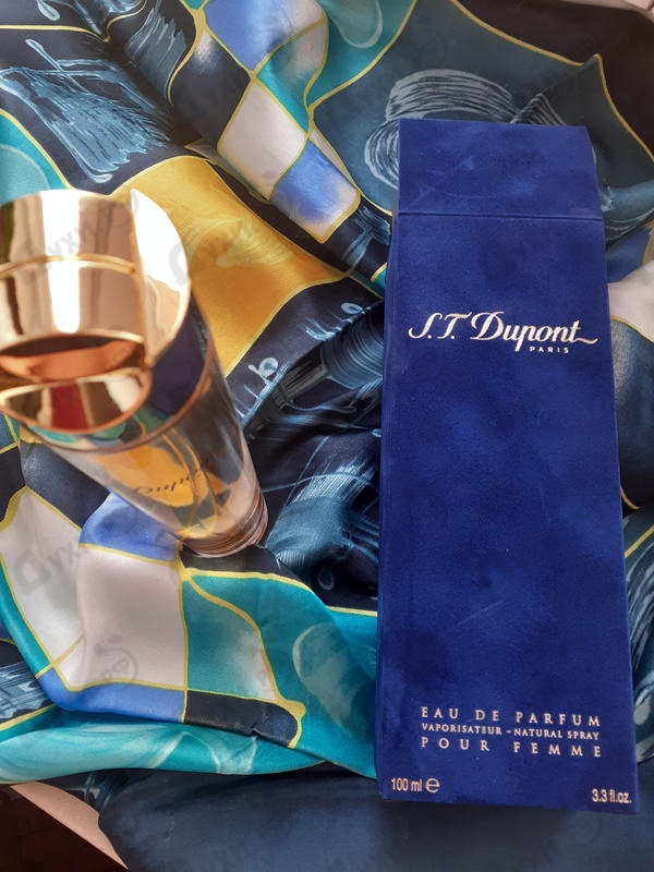 Парфюмерия Women от Dupont Отзывы Dupont Women