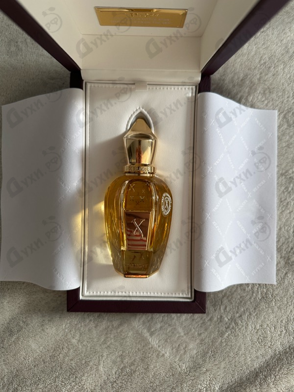 Отзывы Xerjoff Starlight