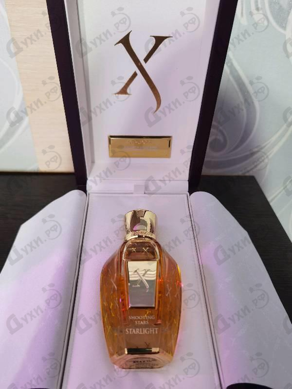 Купить Starlight от Xerjoff Отзывы Xerjoff Starlight