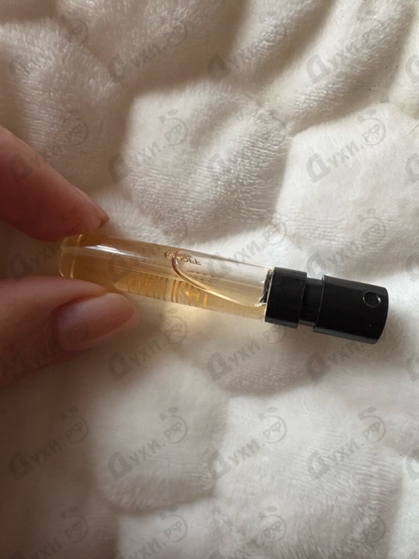 Духи Starlight от Xerjoff