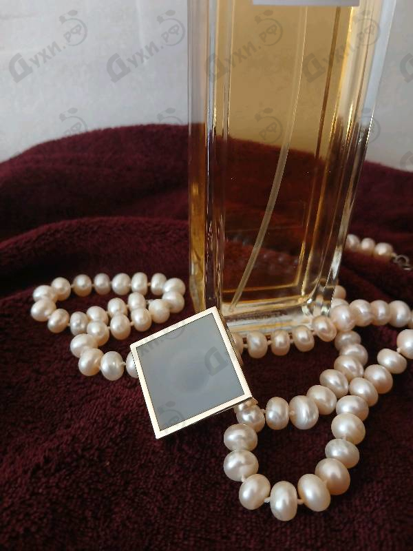 Купить 5th Avenue от Elizabeth Arden