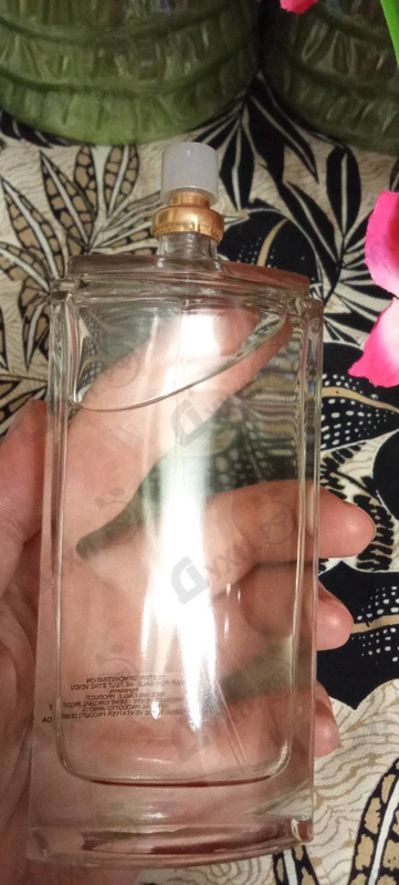 Купить Elizabeth Arden Arden Beauty