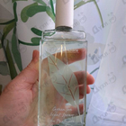 Отзыв Elizabeth Arden Green Tea